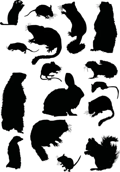 Dezesseis silhuetas de roedores — Vetor de Stock