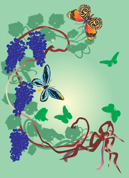Grapes and butterflies on green — Stock Vector