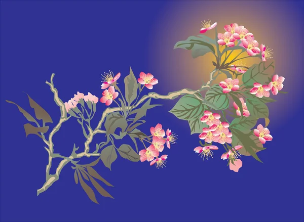 Розовая ветка вишни на голубом — стоковый вектор