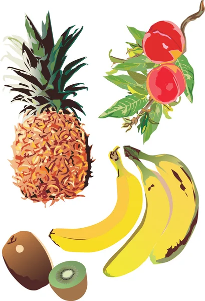 Ilustração com frutos trópicos —  Vetores de Stock