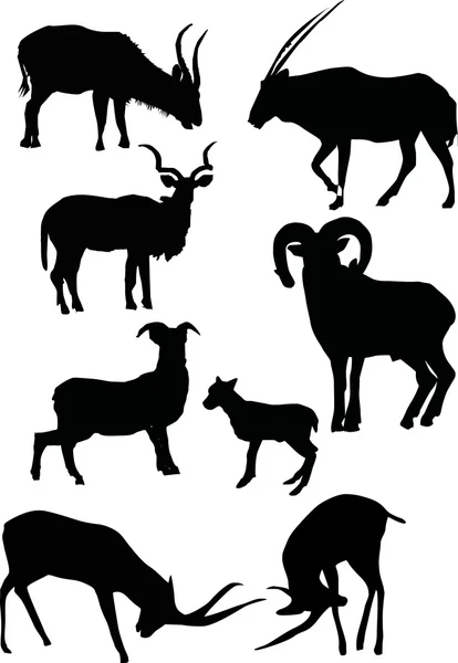 Eight goat silhouettes — Stock Vector