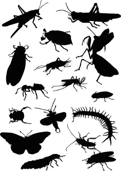 Sixteen black insects — Stock Vector
