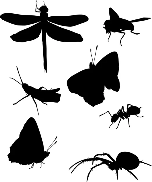 Ragno e altre sagome di insetti — Vettoriale Stock