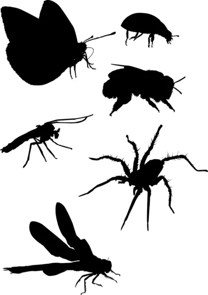 Szúnyog és más rovarok sziluettek — Stock Vector