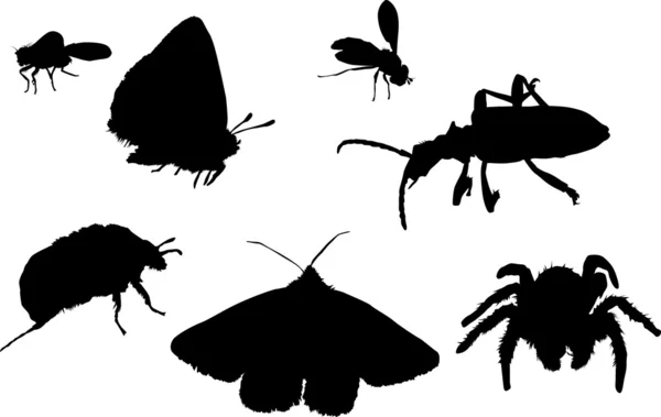 Borboletas, aranhas, insetos e moscas — Vetor de Stock