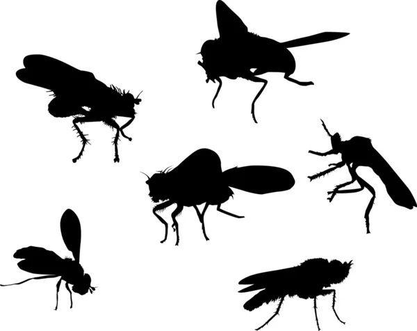 Шесть силуэтов мух — стоковый вектор