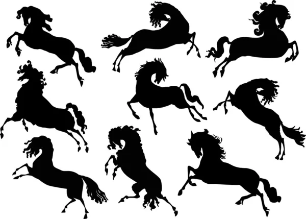 Kilenc ló silhouette készlet — Stock Vector