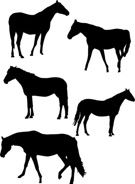 Πέντε σιλουέτες άλογο — Διανυσματικό Αρχείο