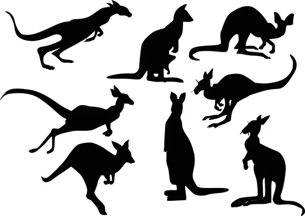 Sekiz kanguru silhouettes — Stok Vektör