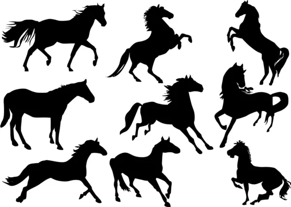 Sada devíti siluet koně — Stockový vektor