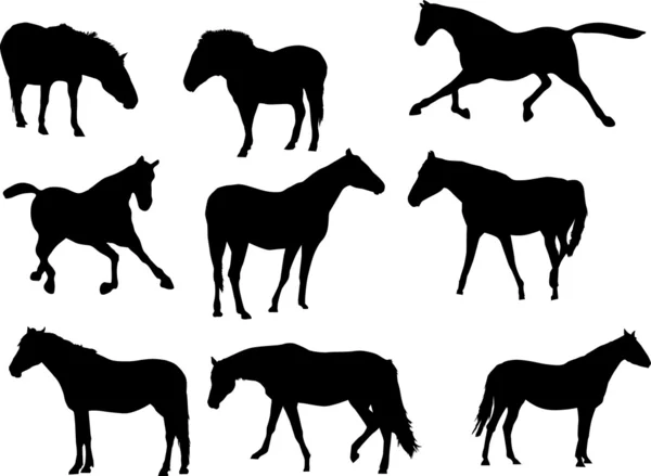 Kilenc fekete ló — Stock Vector