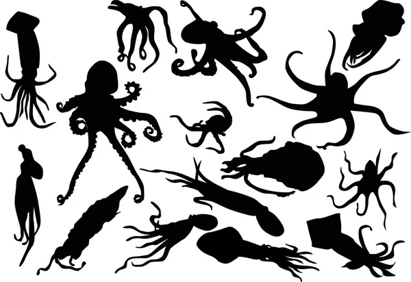 Inktvis en octopus silhouetten — Stockvector