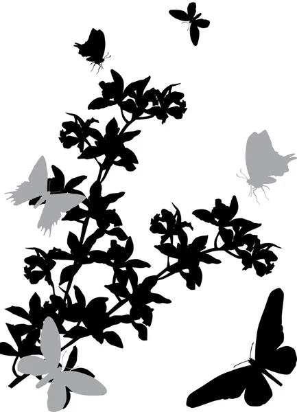 Vlinders en orchideeën silhouetten — Stockvector