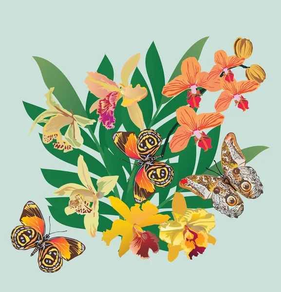 Motýli a kytice ochid — Stockový vektor