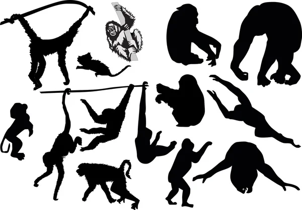 Monkey silhouettes set — Stock Vector