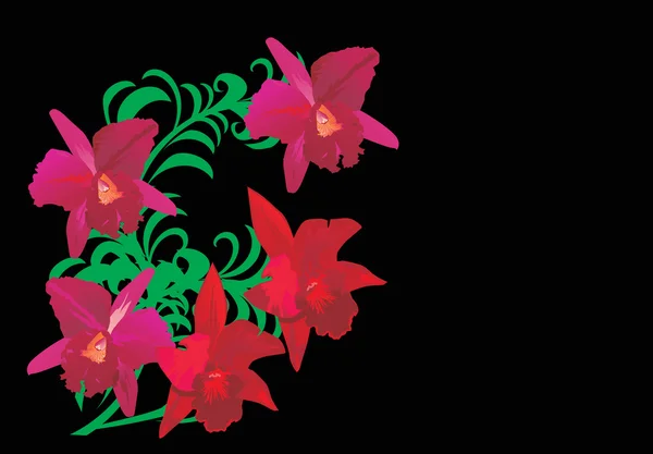 Cinq fleurs rouges d'orchidée — Image vectorielle