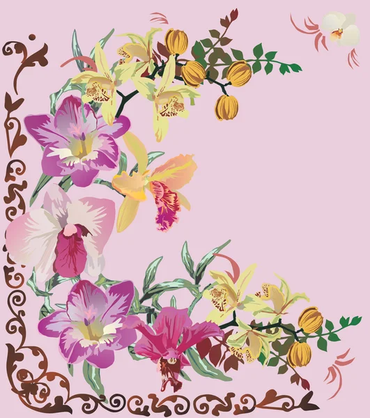 Esquina de orquídea de color — Vector de stock
