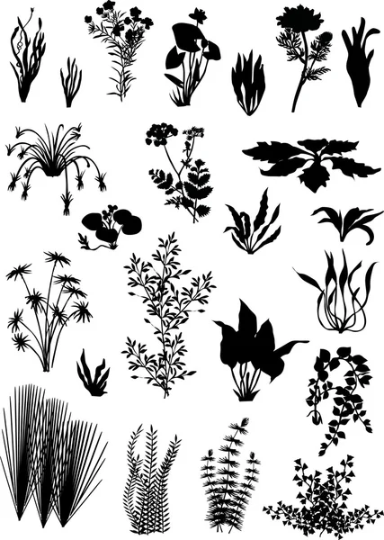 Black on white plants collection — Stock Vector