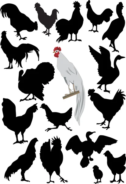 Juego de aves de granja — Vector de stock