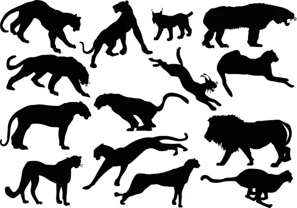 Quatorze silhuetas de gato grande —  Vetores de Stock
