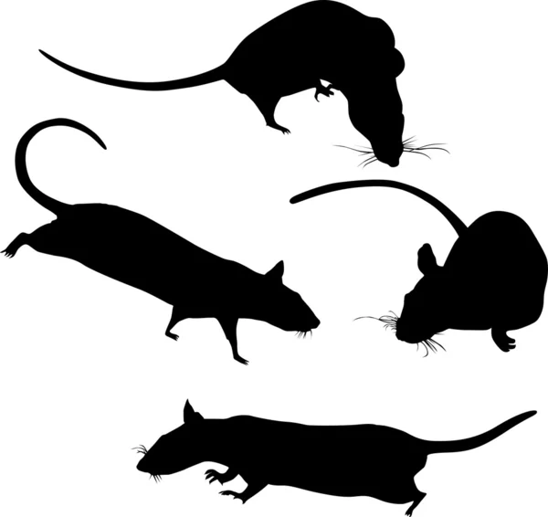 Silhuetas de quatro ratos —  Vetores de Stock
