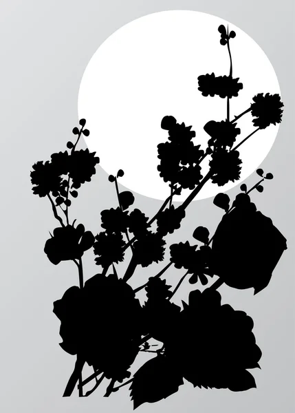 Fiori di ciliegio nero su grigio — Vettoriale Stock