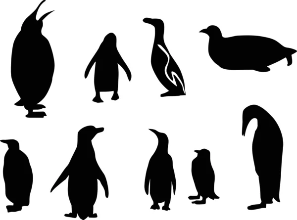 Nueve siluetas de pingüino — Vector de stock
