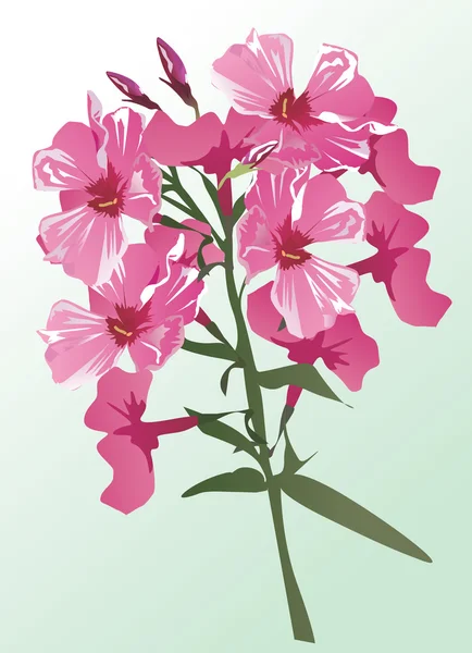 Pink flower branch — Stock Vector