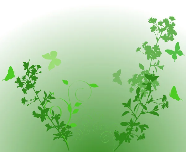 Πράσινο Κερασιά κλάδους — Διανυσματικό Αρχείο