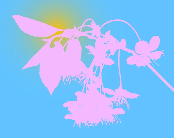 Rosa körsbär blommor siluett — Stock vektor