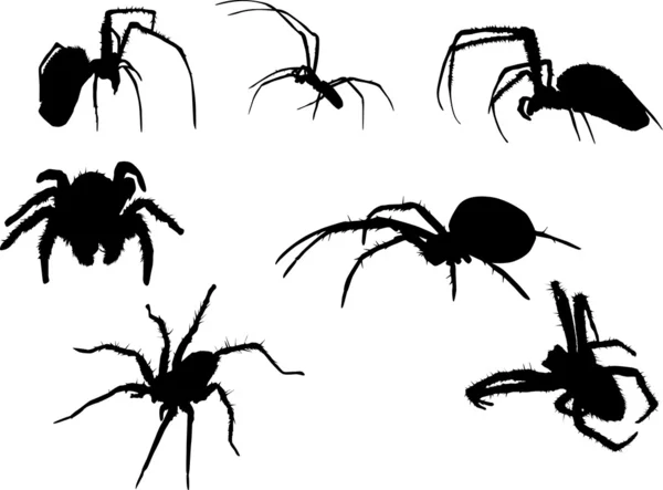 Yedi örümcek silhouettes — Stok Vektör