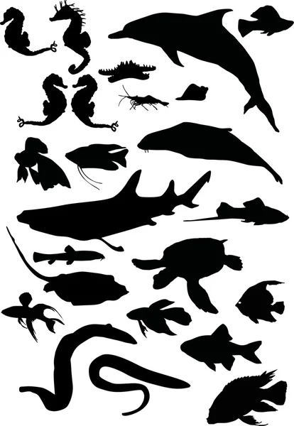Hajar, turtle och fiskar — Stock vektor