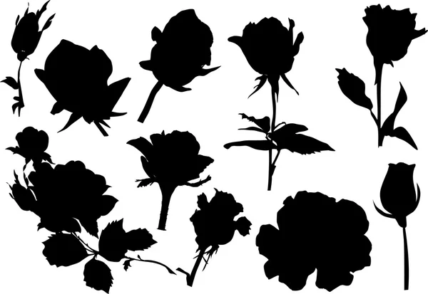 Zehn schwarze Rosen — Stockvektor