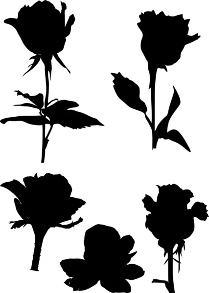 Five black roses illustration — Stock Vector