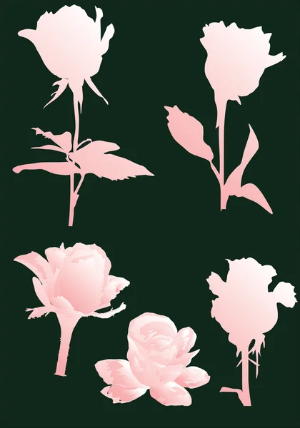 粉红色的孤立的玫瑰集合 — 图库矢量图片