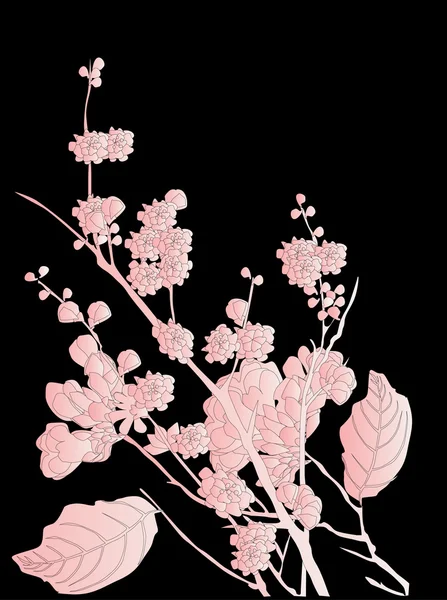 Kersenboom bloemen op black — Stockvector