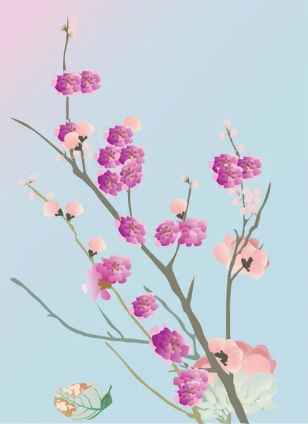 Kiraz ağacı çiçek mavi — Stok Vektör