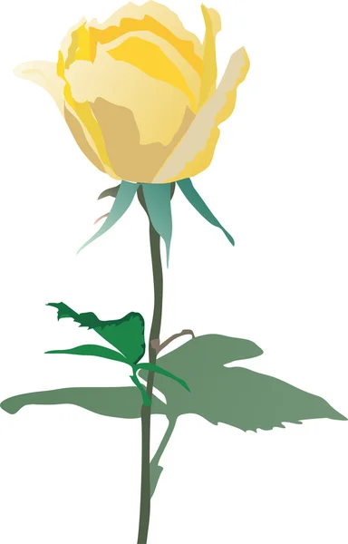 Illustration zur gelben Rose — Stockvektor