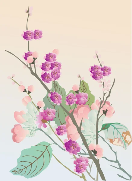 Цветы вишни на розовом — стоковый вектор