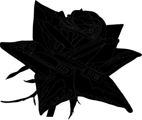 Rose flower silhouette on white — Stock Vector