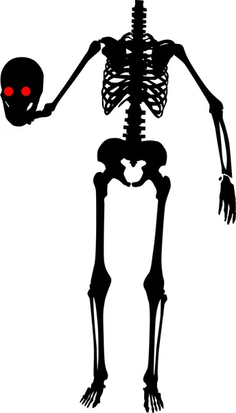 Skelet met schedel in hand — Stockvector