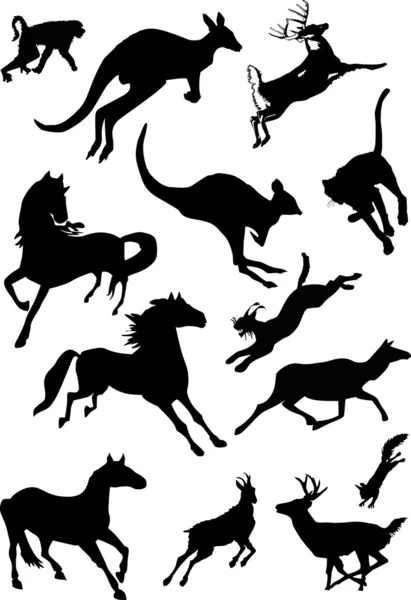 Running animals collection — Stock Vector