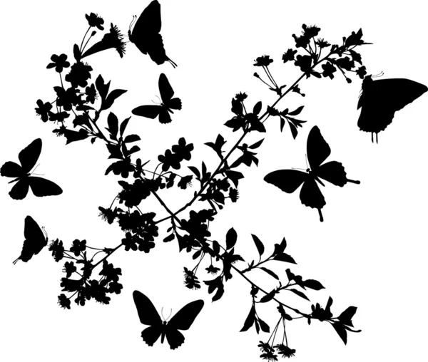 Τέσσερις κλάδοι sakura με πεταλούδες — Διανυσματικό Αρχείο