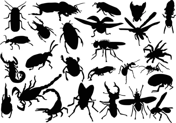 Dvacet šest hmyzu siluety — Stockový vektor