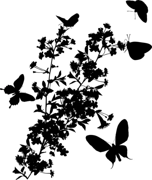 Cinque farfalle e ciliegio — Vettoriale Stock