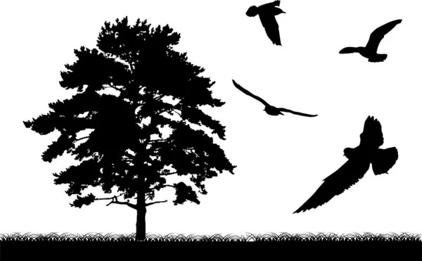 Baum und Vögel Silhouette — Stockvektor