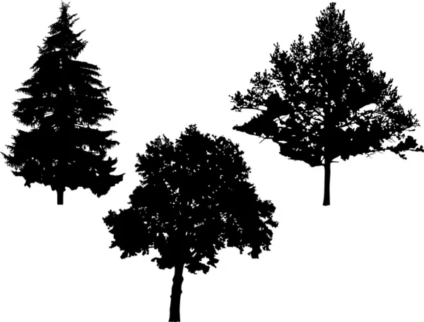 Three black trees — Stock Vector