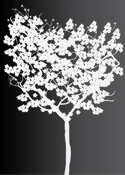 Beyaz ağaç siluet — Stok Vektör