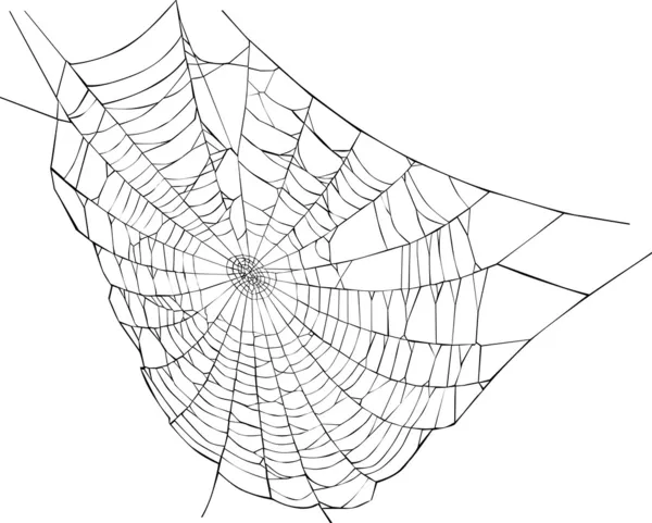 Spider web illustration — Stock Vector