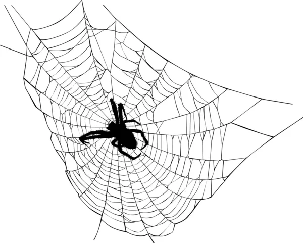 Ilustracja pająk i sieci — Wektor stockowy